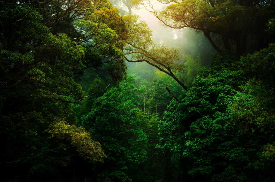 Kunal shinde f0 Y Lss50 Bs unsplash