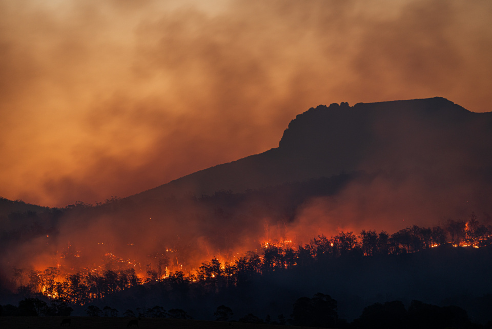 Wildfire - Matt palmer