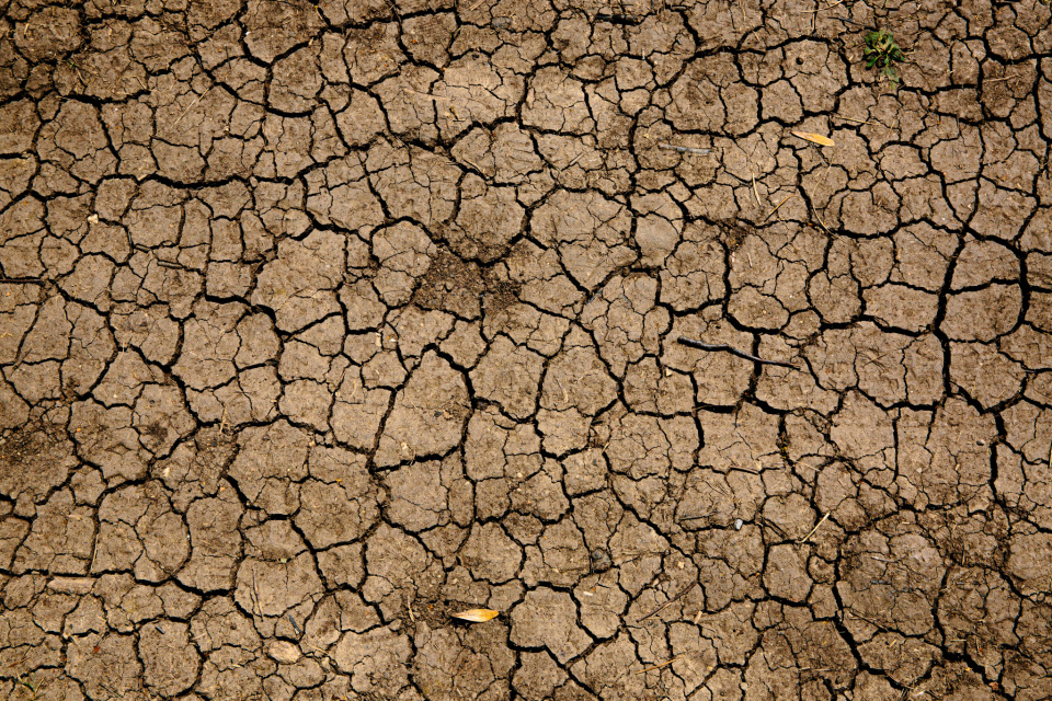 Drought - Mike erskine