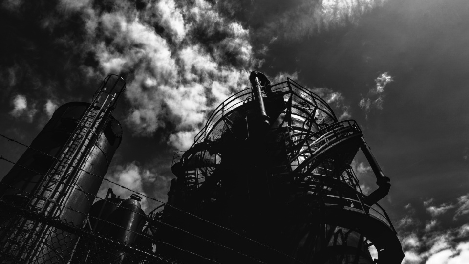 Frantzou fleurine 03n EOZH0i08 unsplash