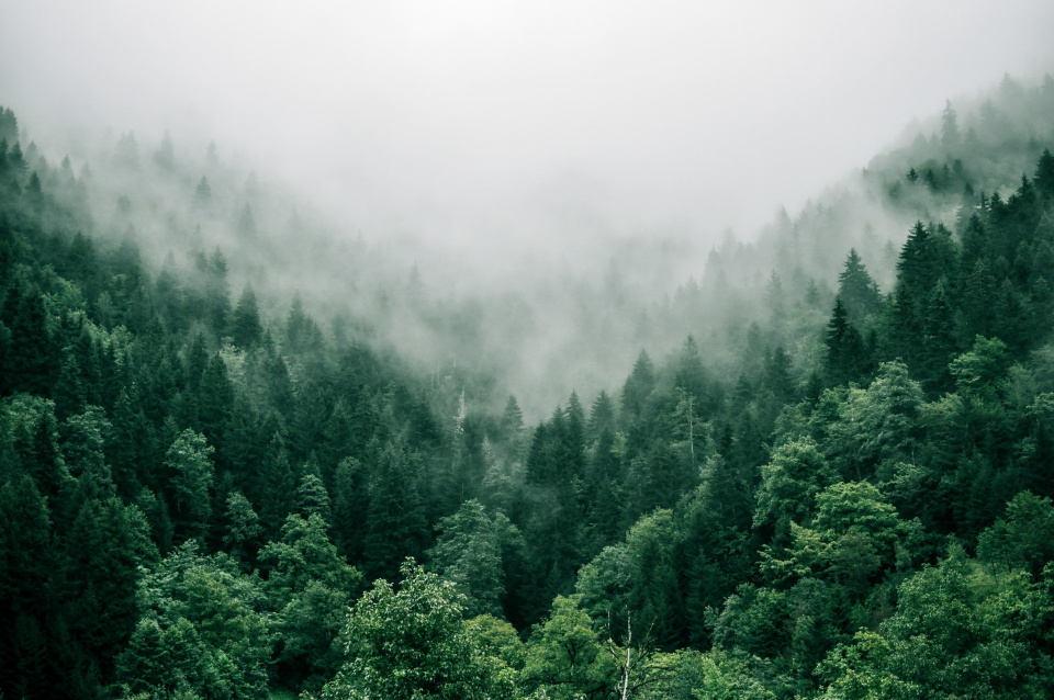 Marita kavelashvili ugnr Xk1129g unsplash