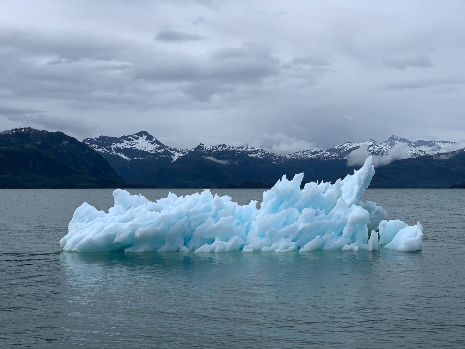 Melting Ice - Melissa bradley