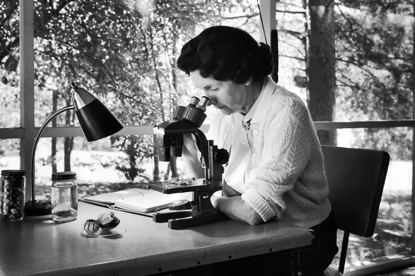 Rachel Carson
