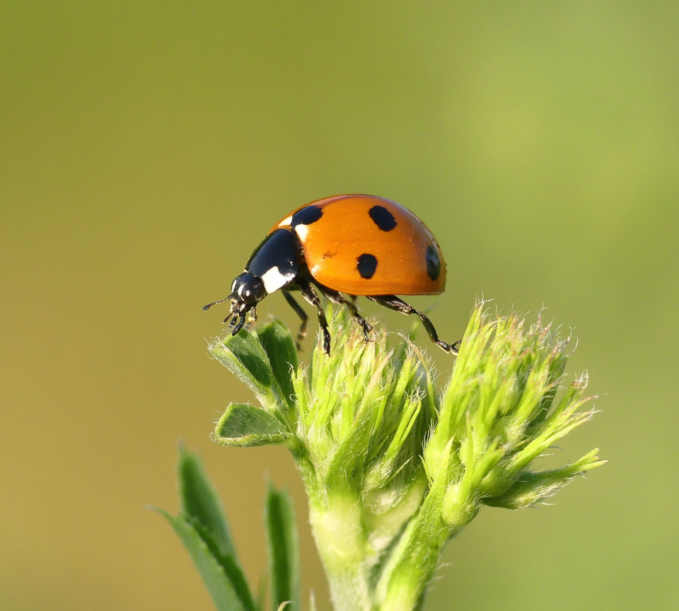 Sue thomas 906sxg0hum M unsplash