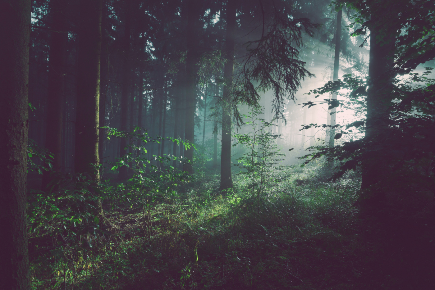 Sebastian unrau sp p7uu T0tw unsplash