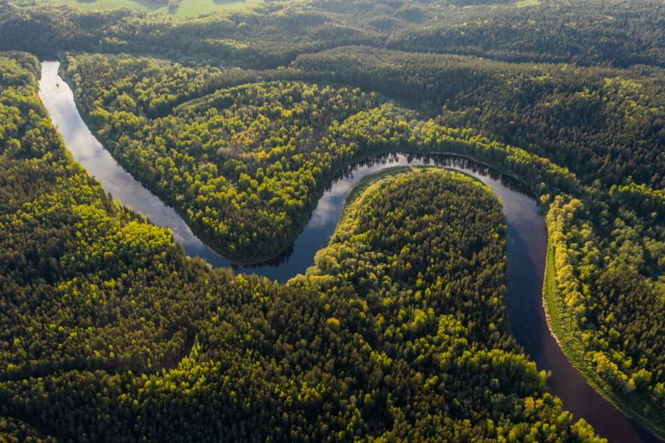 Ivars utinans vk Qgb1l ZZPQ unsplash
