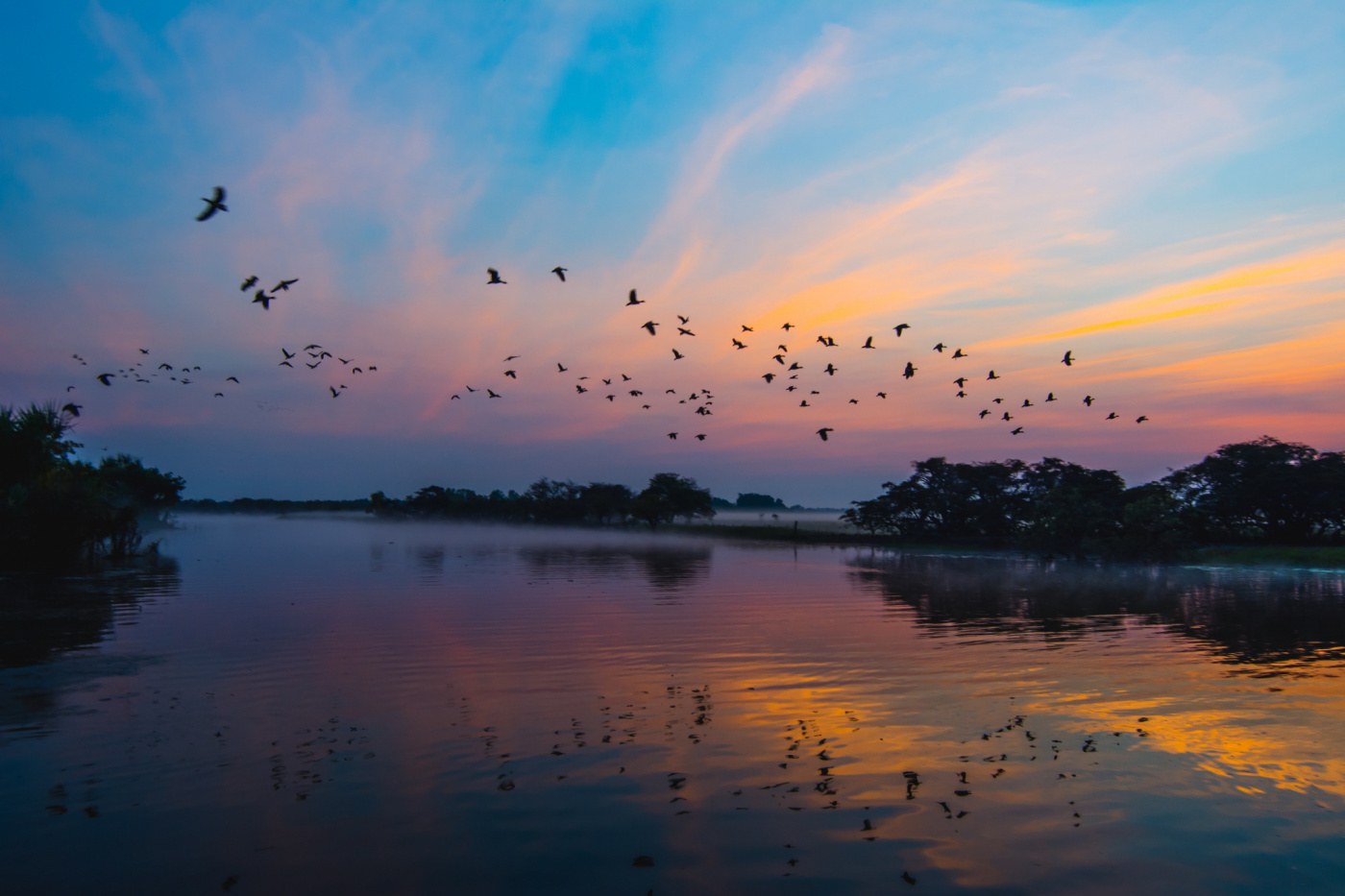 Karl hedin Iyle Uznw LBQ unsplash
