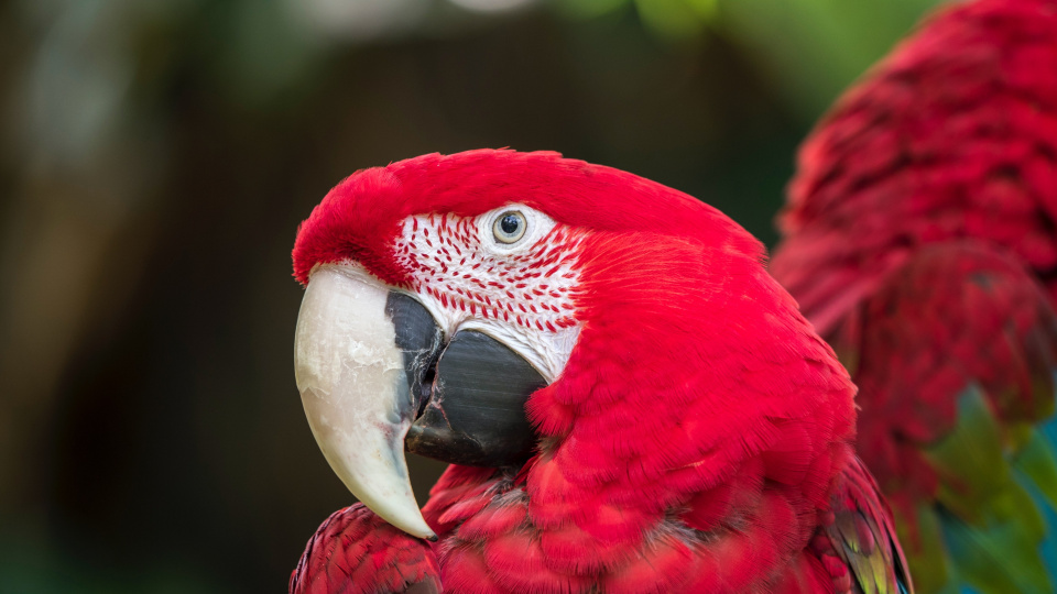 Jorge reyna 0cv O3 ZFK5 CU unsplash
