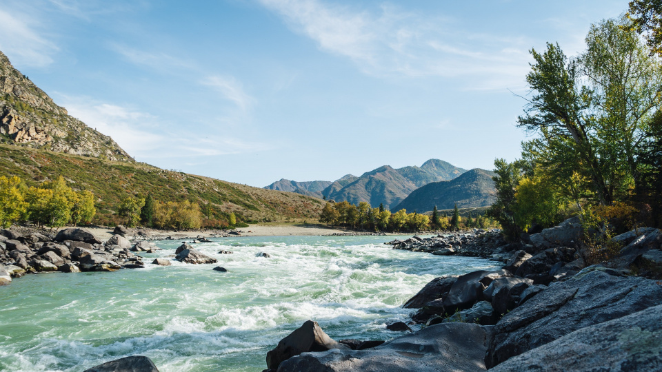Nick night pddpu E7qm HQ unsplash