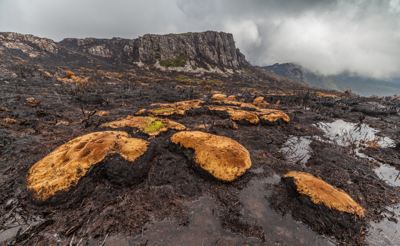 Bushfire Wildfire Fire Climate Change World Heritage Tasmania_Dan Broun