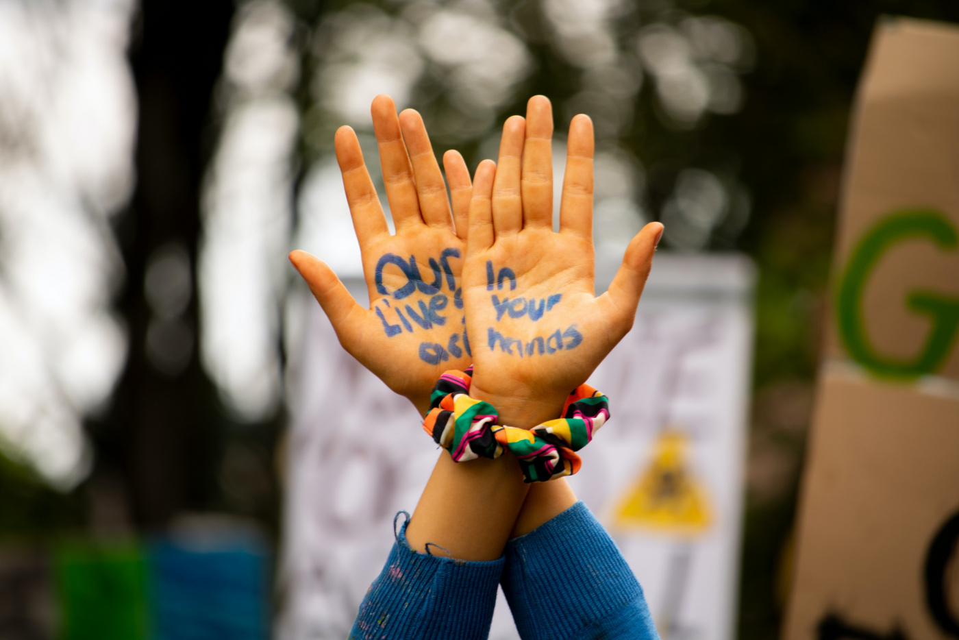 Paddy o sullivan rsmlgiahfo U unsplash