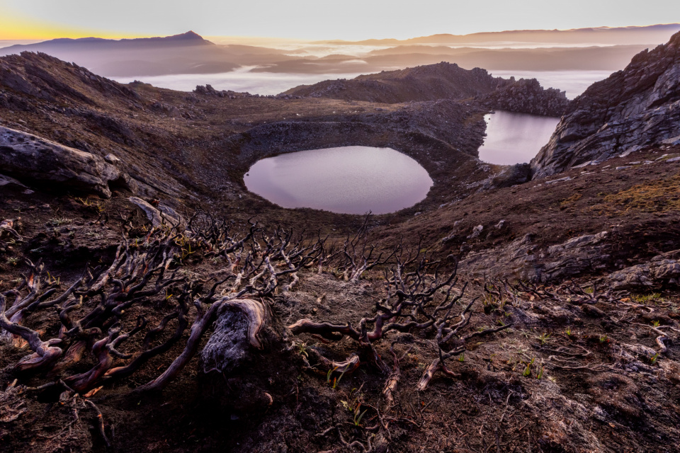 Bushfire Wildfire Climate Change World Heritage Tasmania_Dan Broun